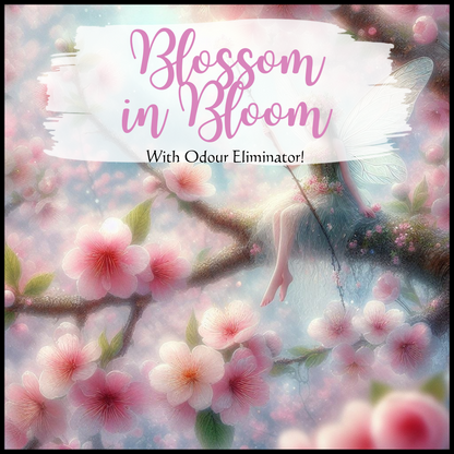 Blossom in Bloom