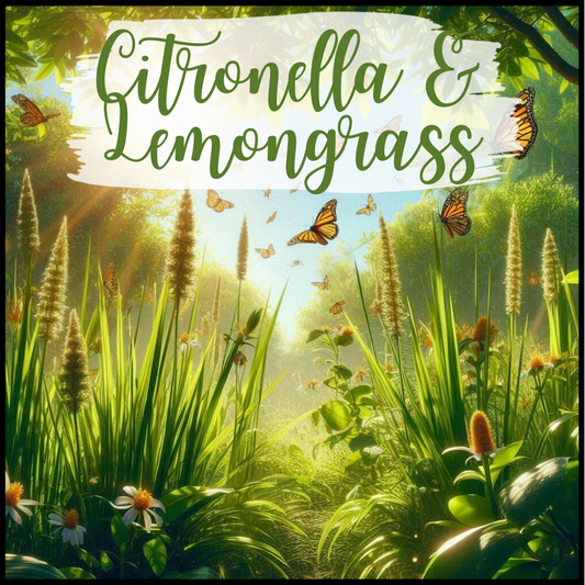 Citronella & Lemongrass